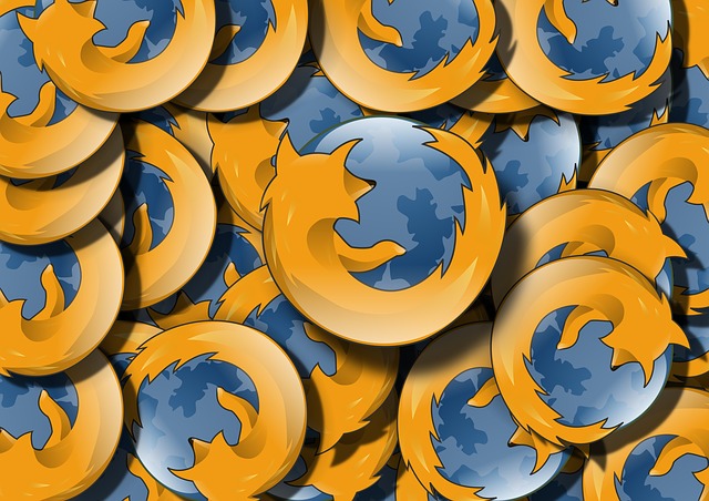 Firefox browser